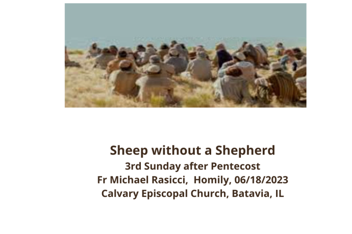 Sheep without a Shepherd